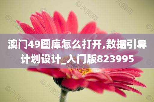 澳门49图库怎么打开,数据引导计划设计_入门版823995