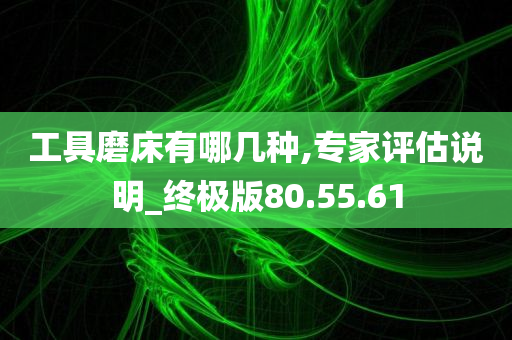 工具磨床有哪几种,专家评估说明_终极版80.55.61