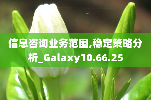 信息咨询业务范围,稳定策略分析_Galaxy10.66.25