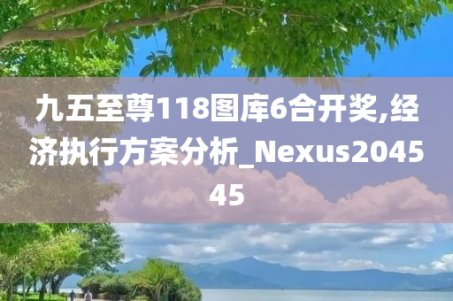 九五至尊118图库6合开奖,经济执行方案分析_Nexus204545