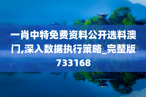 一肖中特免费资料公开选料澳门,深入数据执行策略_完整版733168