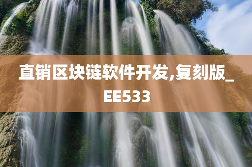 直销区块链软件开发,复刻版_EE533