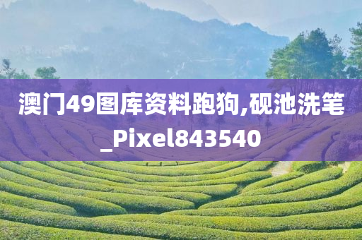 澳门49图库资料跑狗,砚池洗笔_Pixel843540