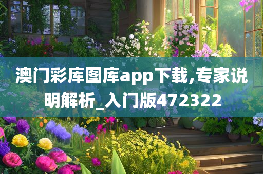 澳门彩库图库app下载,专家说明解析_入门版472322