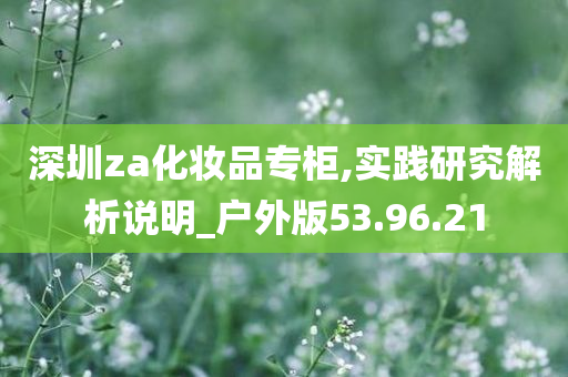 深圳za化妆品专柜,实践研究解析说明_户外版53.96.21