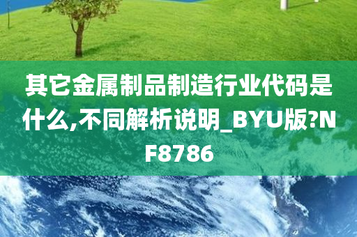 其它金属制品制造行业代码是什么,不同解析说明_BYU版?NF8786