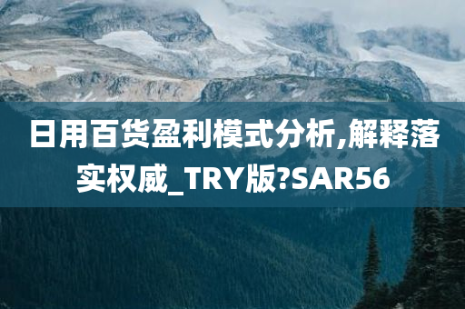 日用百货盈利模式分析,解释落实权威_TRY版?SAR56