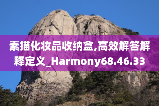 素描化妆品收纳盒,高效解答解释定义_Harmony68.46.33