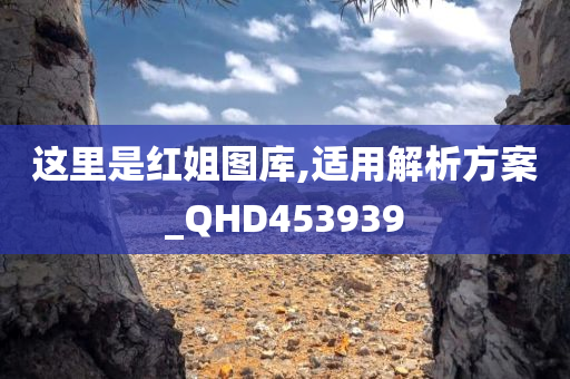 这里是红姐图库,适用解析方案_QHD453939