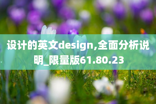 设计的英文design,全面分析说明_限量版61.80.23