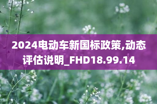 2024电动车新国标政策,动态评估说明_FHD18.99.14