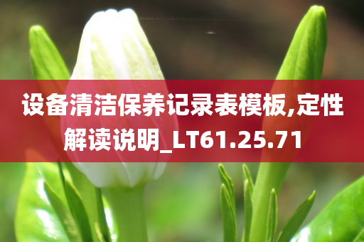 设备清洁保养记录表模板,定性解读说明_LT61.25.71