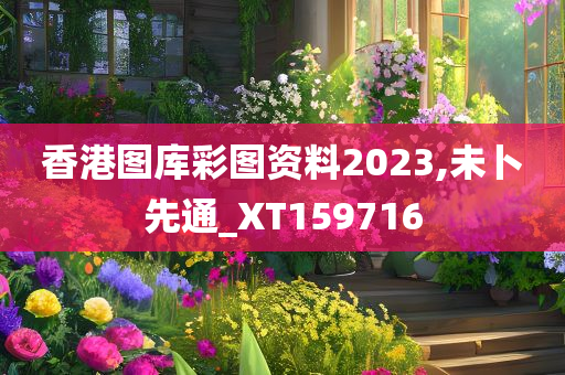 香港图库彩图资料2023,未卜先通_XT159716