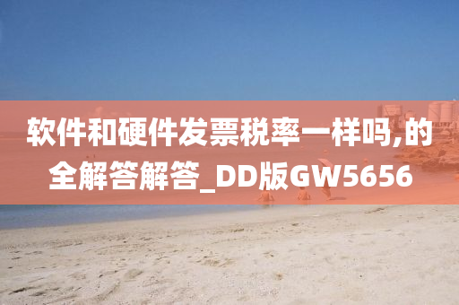 软件和硬件发票税率一样吗,的全解答解答_DD版GW5656