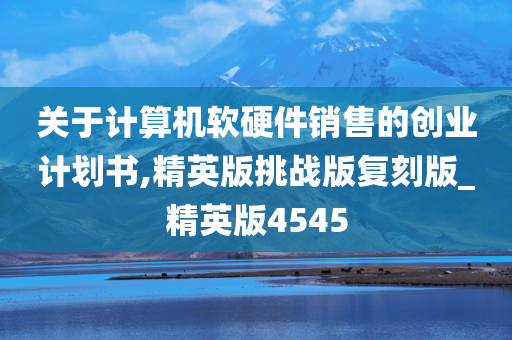 关于计算机软硬件销售的创业计划书,精英版挑战版复刻版_精英版4545