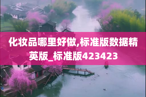 化妆品哪里好做,标准版数据精英版_标准版423423