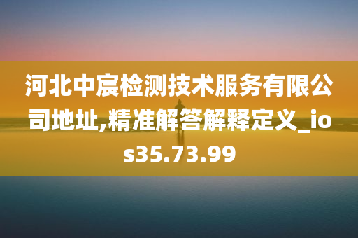 河北中宸检测技术服务有限公司地址,精准解答解释定义_ios35.73.99