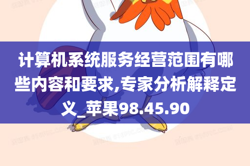 计算机系统服务经营范围有哪些内容和要求,专家分析解释定义_苹果98.45.90