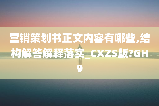 营销策划书正文内容有哪些,结构解答解释落实_CXZS版?GH9