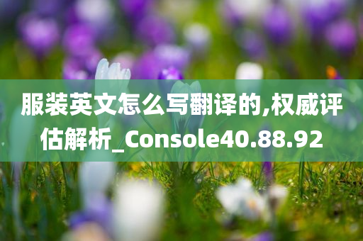 服装英文怎么写翻译的,权威评估解析_Console40.88.92