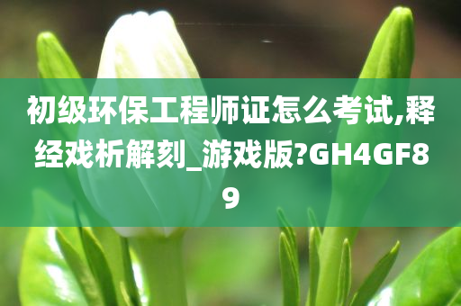 初级环保工程师证怎么考试,释经戏析解刻_游戏版?GH4GF89