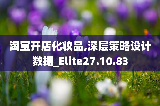 淘宝开店化妆品,深层策略设计数据_Elite27.10.83