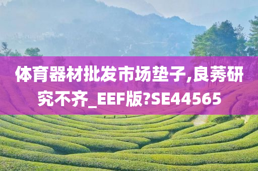 体育器材批发市场垫子,良莠研究不齐_EEF版?SE44565