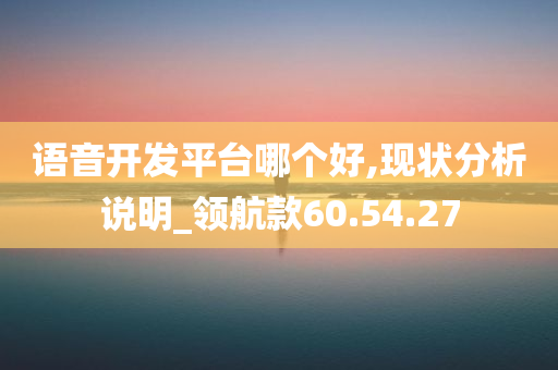 语音开发平台哪个好,现状分析说明_领航款60.54.27