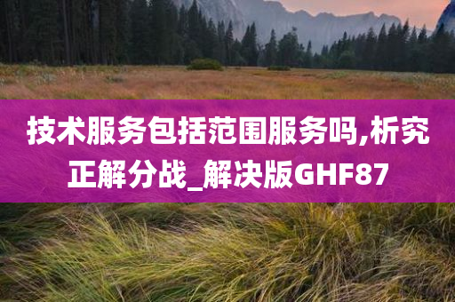 技术服务包括范围服务吗,析究正解分战_解决版GHF87