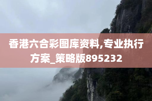 香港六合彩图库资料,专业执行方案_策略版895232