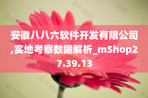 安徽八八六软件开发有限公司,实地考察数据解析_mShop27.39.13