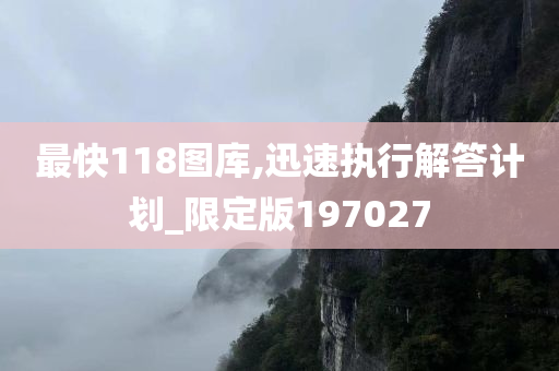 最快118图库,迅速执行解答计划_限定版197027