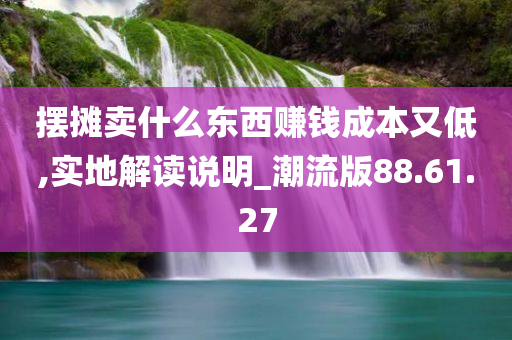 摆摊卖什么东西赚钱成本又低,实地解读说明_潮流版88.61.27