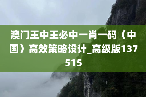 澳门王中王必中一肖一码（中国）高效策略设计_高级版137515