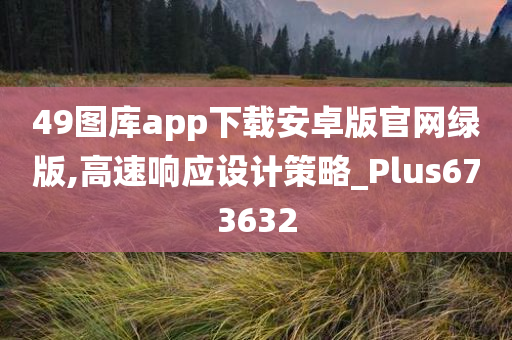 49图库app下载安卓版官网绿版,高速响应设计策略_Plus673632