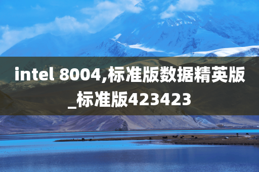 intel 8004,标准版数据精英版_标准版423423