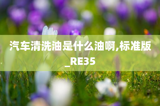 汽车清洗油是什么油啊,标准版_RE35