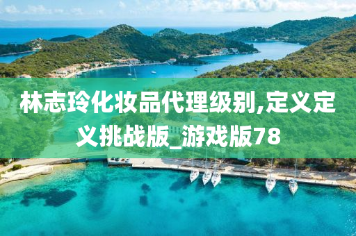 林志玲化妆品代理级别,定义定义挑战版_游戏版78