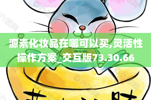 源素化妆品在哪可以买,灵活性操作方案_交互版73.30.66