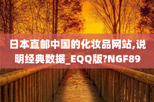 日本直邮中国的化妆品网站,说明经典数据_EQQ版?NGF89