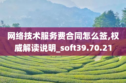 网络技术服务费合同怎么签,权威解读说明_soft39.70.21