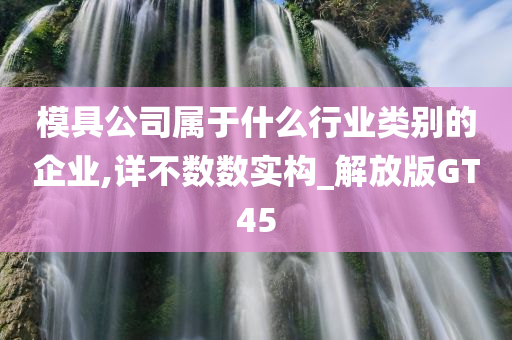 模具公司属于什么行业类别的企业,详不数数实构_解放版GT45