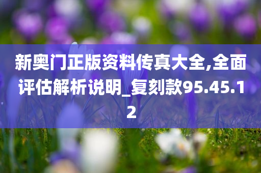 新奥门正版资料传真大全,全面评估解析说明_复刻款95.45.12