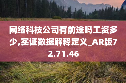 网络科技公司有前途吗工资多少,实证数据解释定义_AR版72.71.46