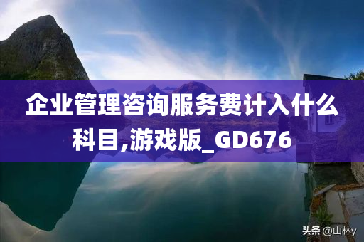 企业管理咨询服务费计入什么科目,游戏版_GD676