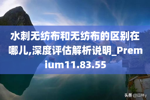 水刺无纺布和无纺布的区别在哪儿,深度评估解析说明_Premium11.83.55