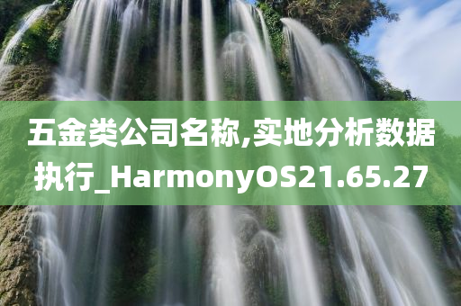 五金类公司名称,实地分析数据执行_HarmonyOS21.65.27