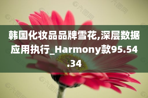 韩国化妆品品牌雪花,深层数据应用执行_Harmony款95.54.34