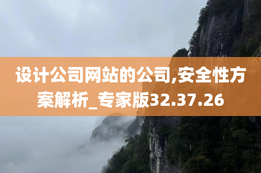 设计公司网站的公司,安全性方案解析_专家版32.37.26