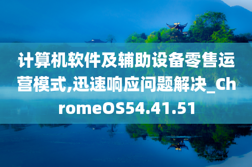 计算机软件及辅助设备零售运营模式,迅速响应问题解决_ChromeOS54.41.51